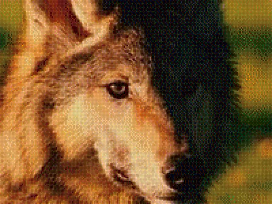 58 - предпросмотр