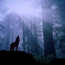 Схема вышивки «59»