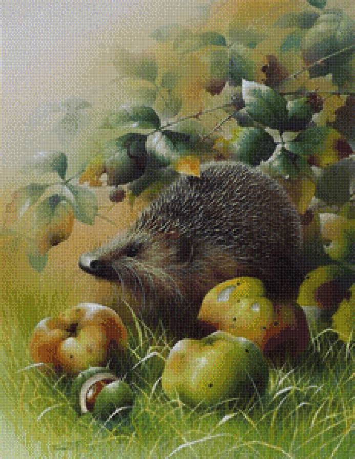 ежик в лесу - яблоки, ежик, лес - предпросмотр