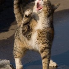 Схема вышивки «А мне море по колено!»