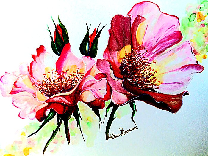 шиповник - шиповник, роза, рисунок, панно, цветок, ветка - оригинал