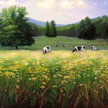 Схема вышивки «на пастбище»