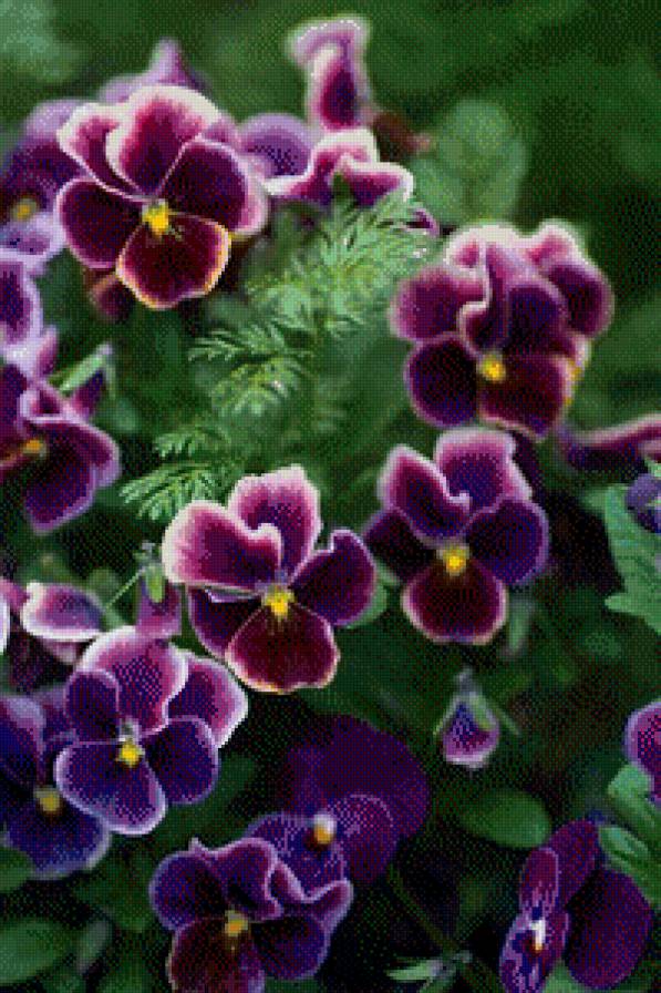 №973624 - предпросмотр