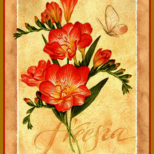 Схема вышивки «Фрезия»