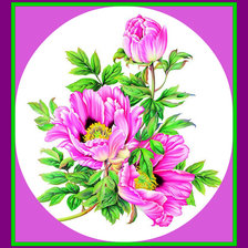 Схема вышивки «пионы»