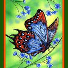 Схема вышивки «Бабочка»