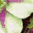 Предпросмотр схемы вышивки «Клематисы» (№973658)