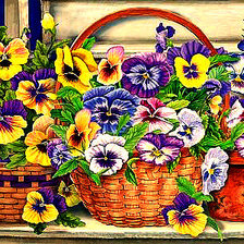 Схема вышивки «Анютины глазки»