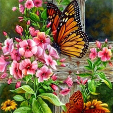 Схема вышивки «Флоксы»