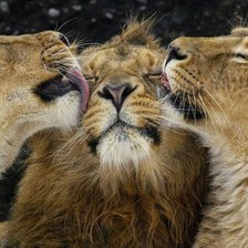 Схема вышивки «Да!»