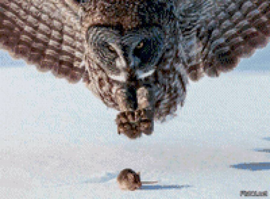 Охота - предпросмотр