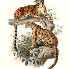 Схема вышивки «№973798»