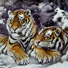 Схема вышивки «Серия "Дикая природа"»