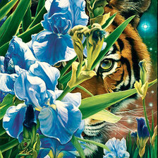 Схема вышивки «Серия "Дикая природа"»