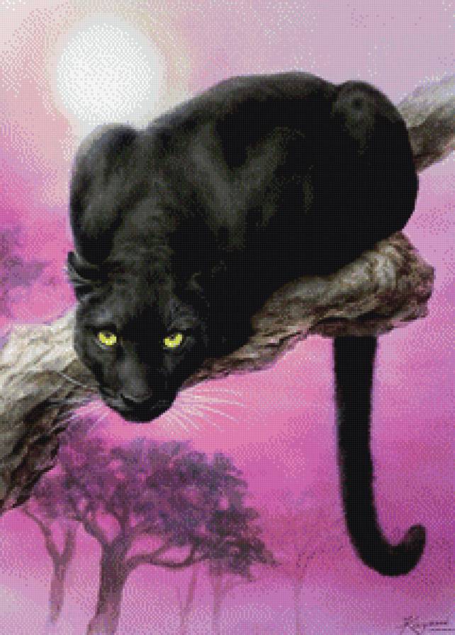 черная пантера - хищник, пантера - предпросмотр