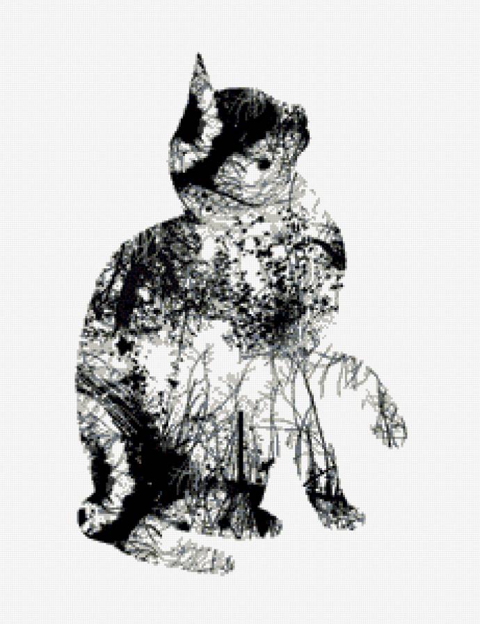 Лапочка - монохром, кошка, кошки - предпросмотр