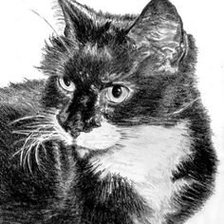 Схема вышивки «Внимательный взгляд»