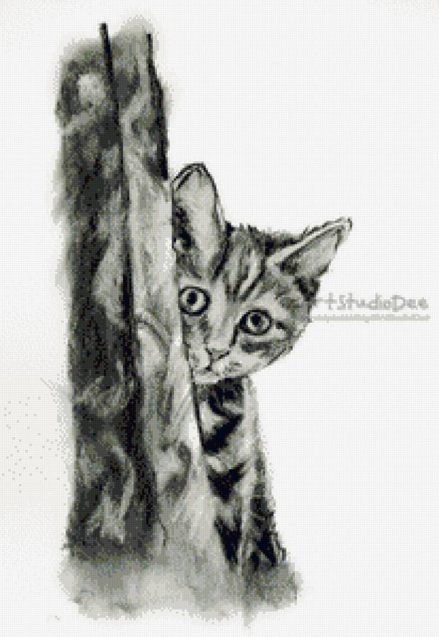 За дверью родного дома - кошки, кошка, монохром - предпросмотр