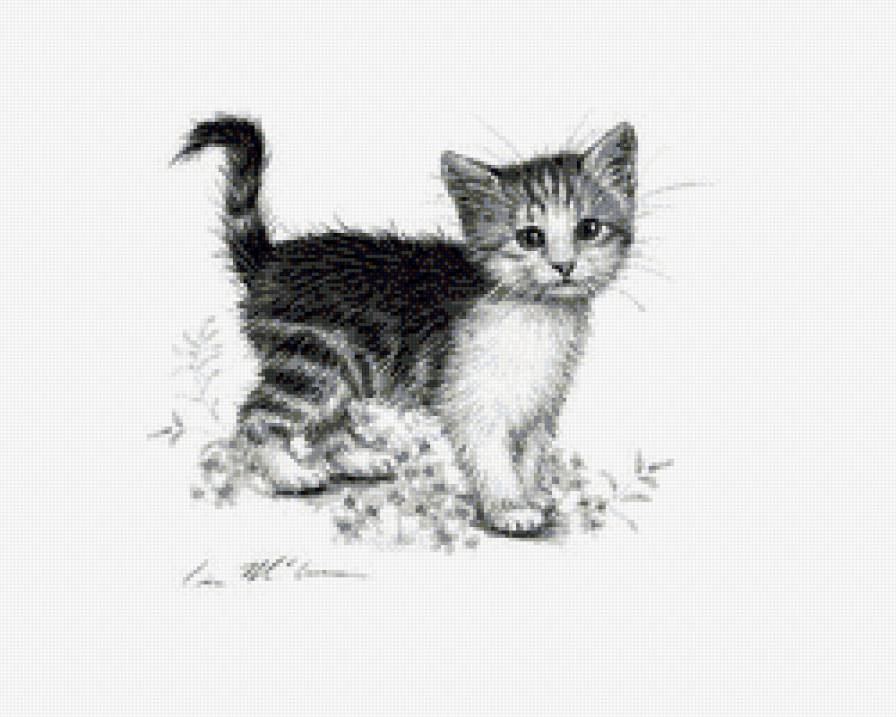 Котенок - кошки, кошка, монохром - предпросмотр