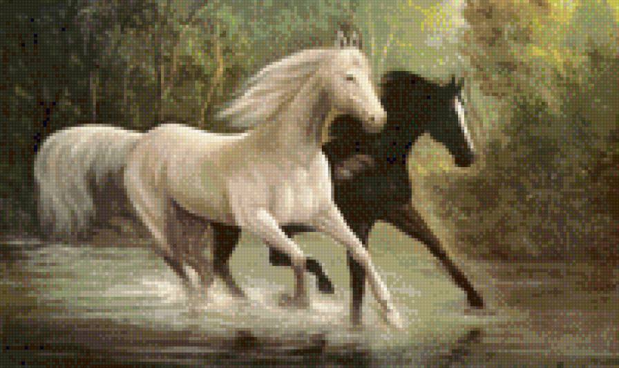 лошади белая и вороная - предпросмотр
