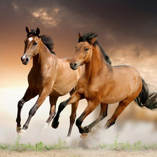 Схема вышивки «лошадки»