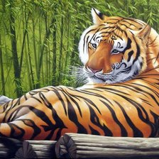 Схема вышивки «Тигр»