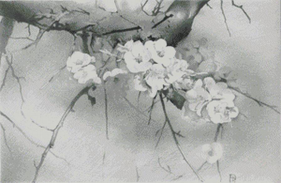 Цветущее дерево - цветы, дерево, монохром - предпросмотр