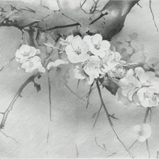 Схема вышивки «Цветущее дерево»