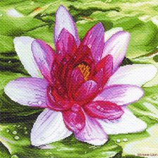 Схема вышивки «лилия»