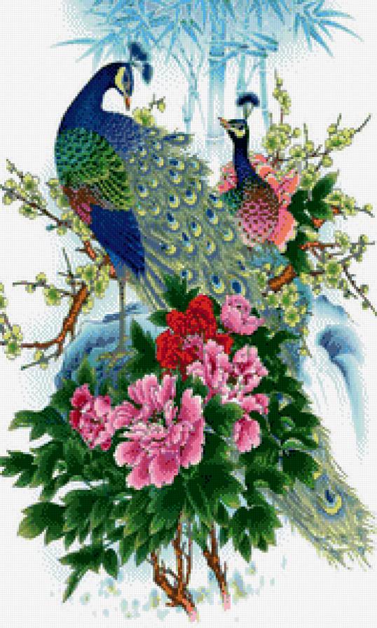 Павлины - китайская живопись, павлины - предпросмотр