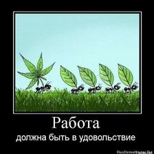 Схема вышивки «Мураши»