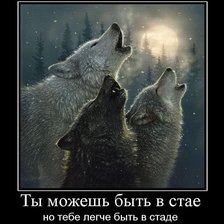 Схема вышивки «Стая»