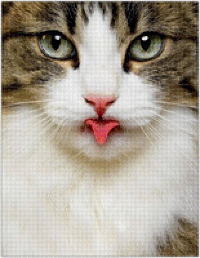 67 - предпросмотр