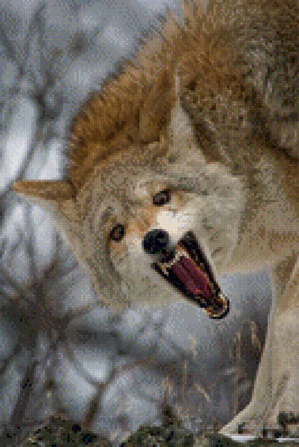 71 - предпросмотр