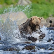 Схема вышивки «86»