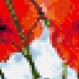 Предпросмотр схемы вышивки «маки» (№975946)