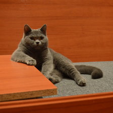 Схема вышивки «Британка»