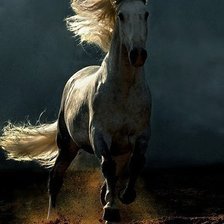 Схема вышивки «№976007»