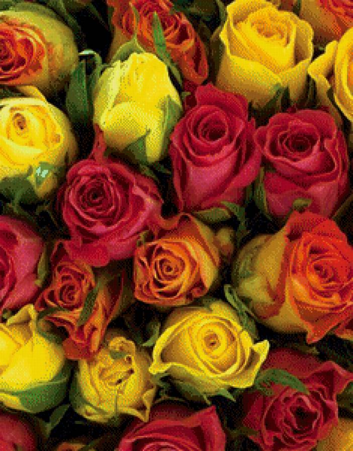 картина - букет, красота, цветы - предпросмотр