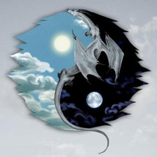 Схема вышивки «дракон инь-янь»