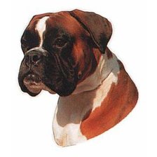 Схема вышивки «Boxer»