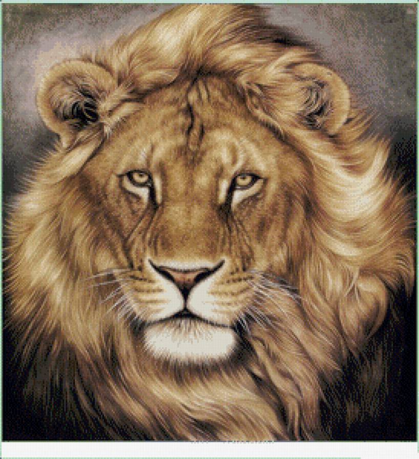 Лев - лев, дикие животные - предпросмотр