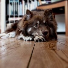 Схема вышивки «87»