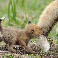 Схема вышивки «100»