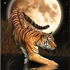 Схема вышивки «Серия "Дикая природа"»