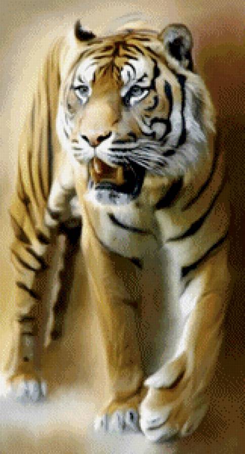 Тигр - хищник, тигр - предпросмотр