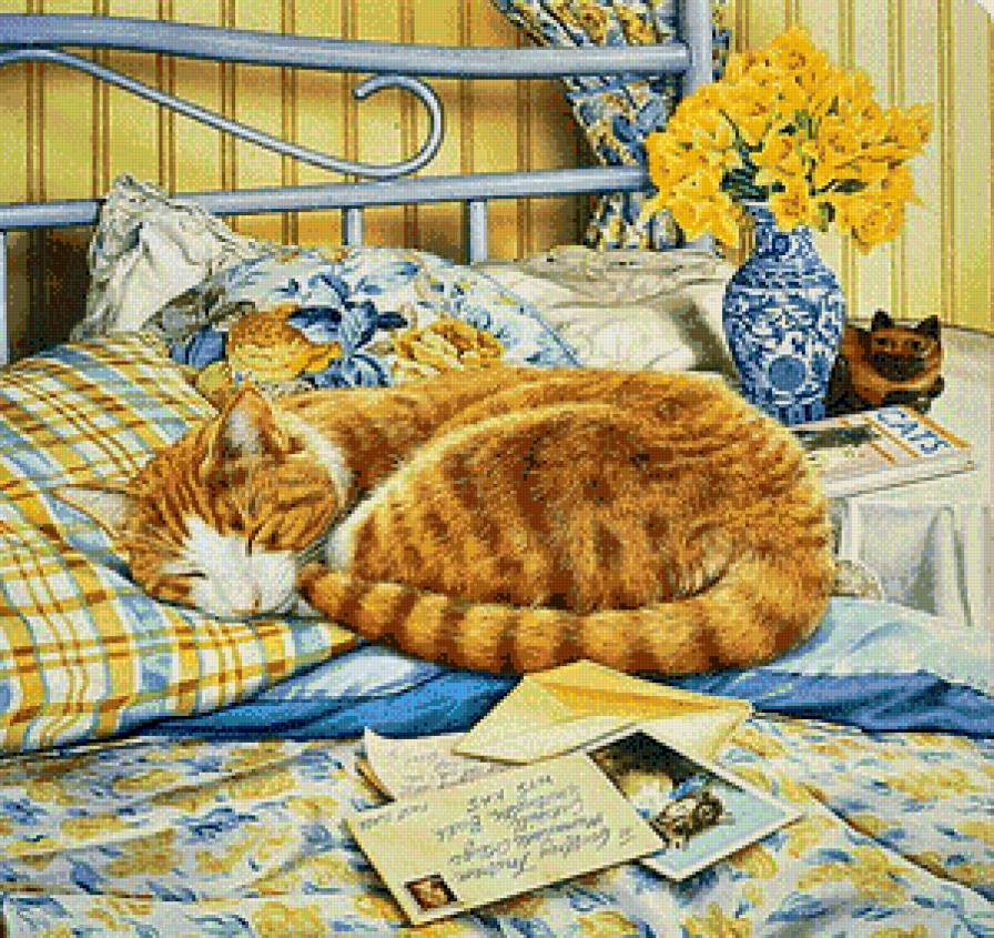 устал от чтения - домашние любимцы, кот - предпросмотр