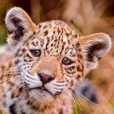 Схема вышивки «Малыш»