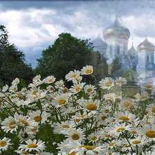 Ромашковая Русь