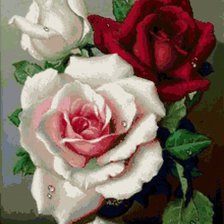 Схема вышивки «розы»